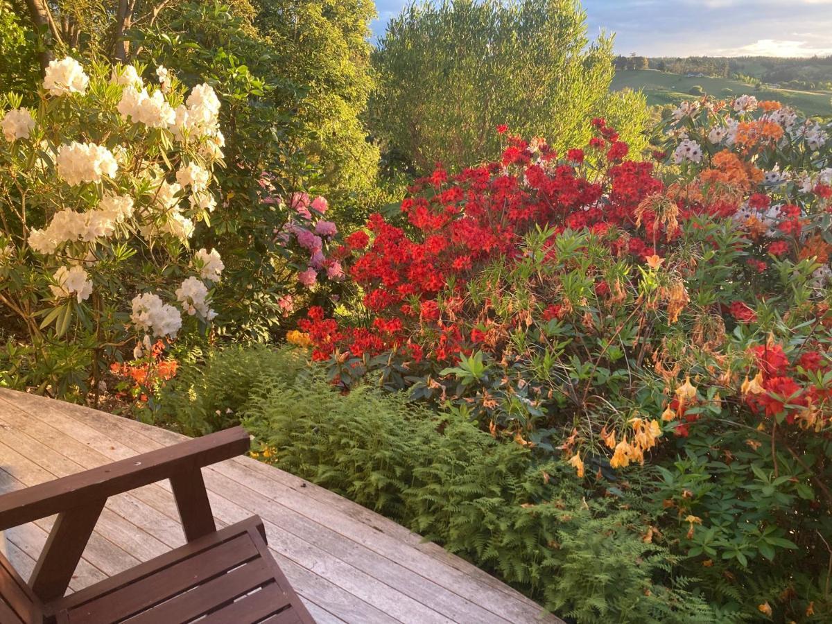 2 Views At Tasman Bed & Breakfast Exterior photo